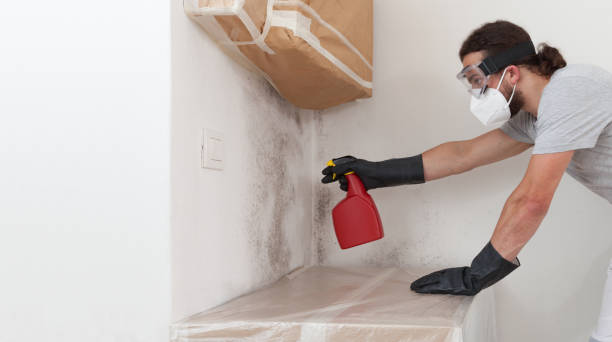 Professional Mold Removal technician working in Topping, VA