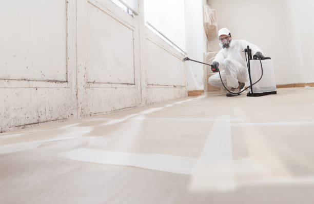24/7 Emergency Mold Removal experts in Topping, VA